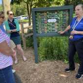 Use the arrows or slide the photo to see more