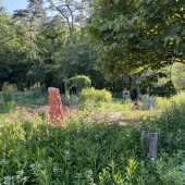 Use the arrows or slide the photo to see more