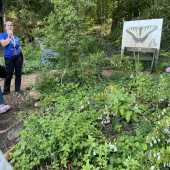 Use the arrows or slide the photo to see more