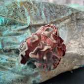 Use the arrows or slide the photo to see more