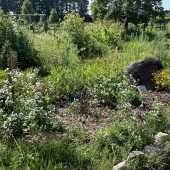 Use the arrows or slide the photo to see more