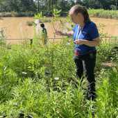 Use the arrows or slide the photo to see more