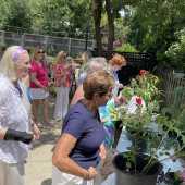 Use the arrows or slide the photo to see more