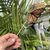 Use the arrows or slide the photo to see more