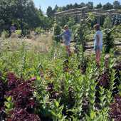 Use the arrows or slide the photo to see more