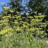 Use the arrows or slide the photo to see more