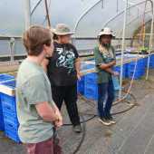 Use the arrows or slide the photo to see more