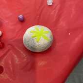 Use the arrows or slide the photo to see more