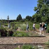 Use the arrows or slide the photo to see more