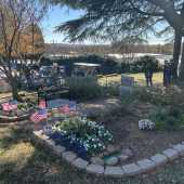 Use the arrows or slide the photo to see more